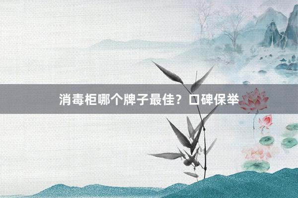消毒柜哪个牌子最佳？口碑保举