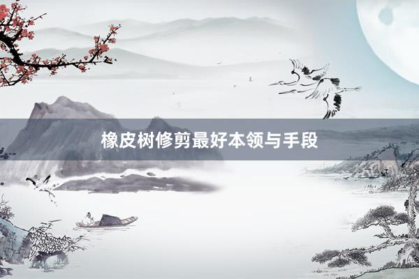 橡皮树修剪最好本领与手段