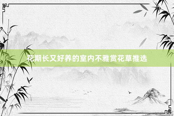 花期长又好养的室内不雅赏花草推选
